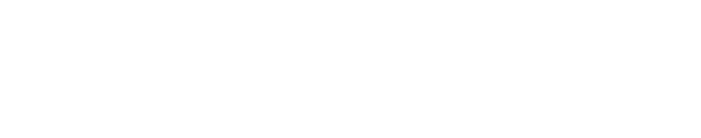 SHENGSHI HEYDAY GROUP